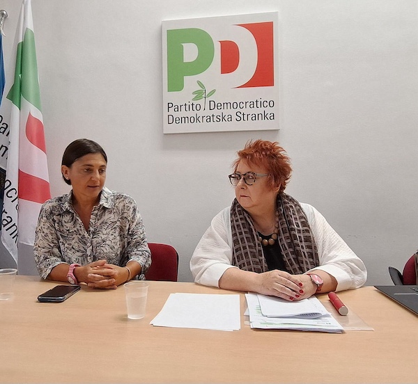 Demokratska stranka predstavila svoj predlog, kako omogočiti izvolitev Slovenca v parlament